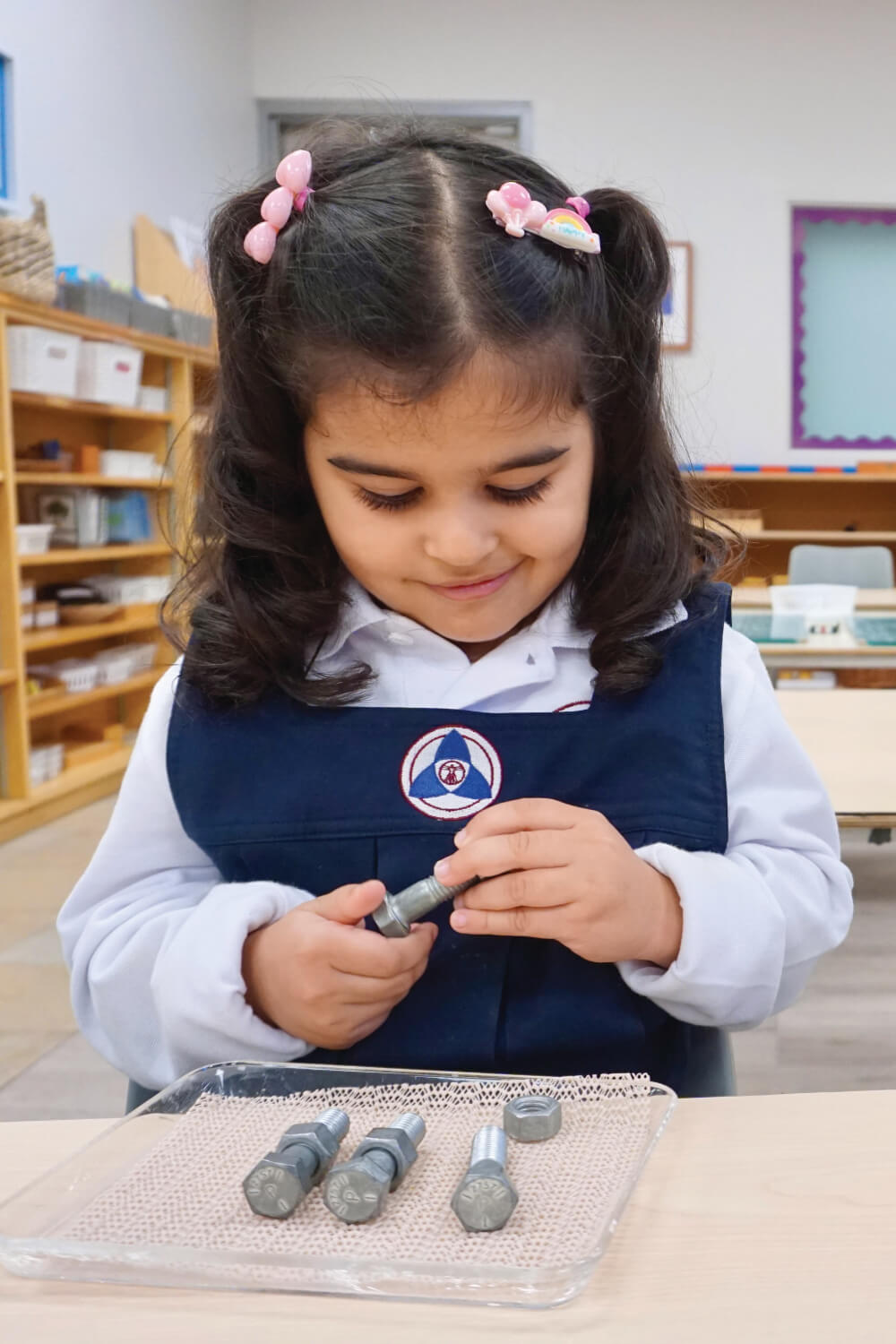 Choosing Leonardo Da Vinci Academy