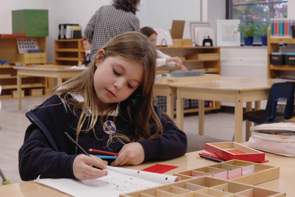 Lower elementary Montessori Grades 1 to 3